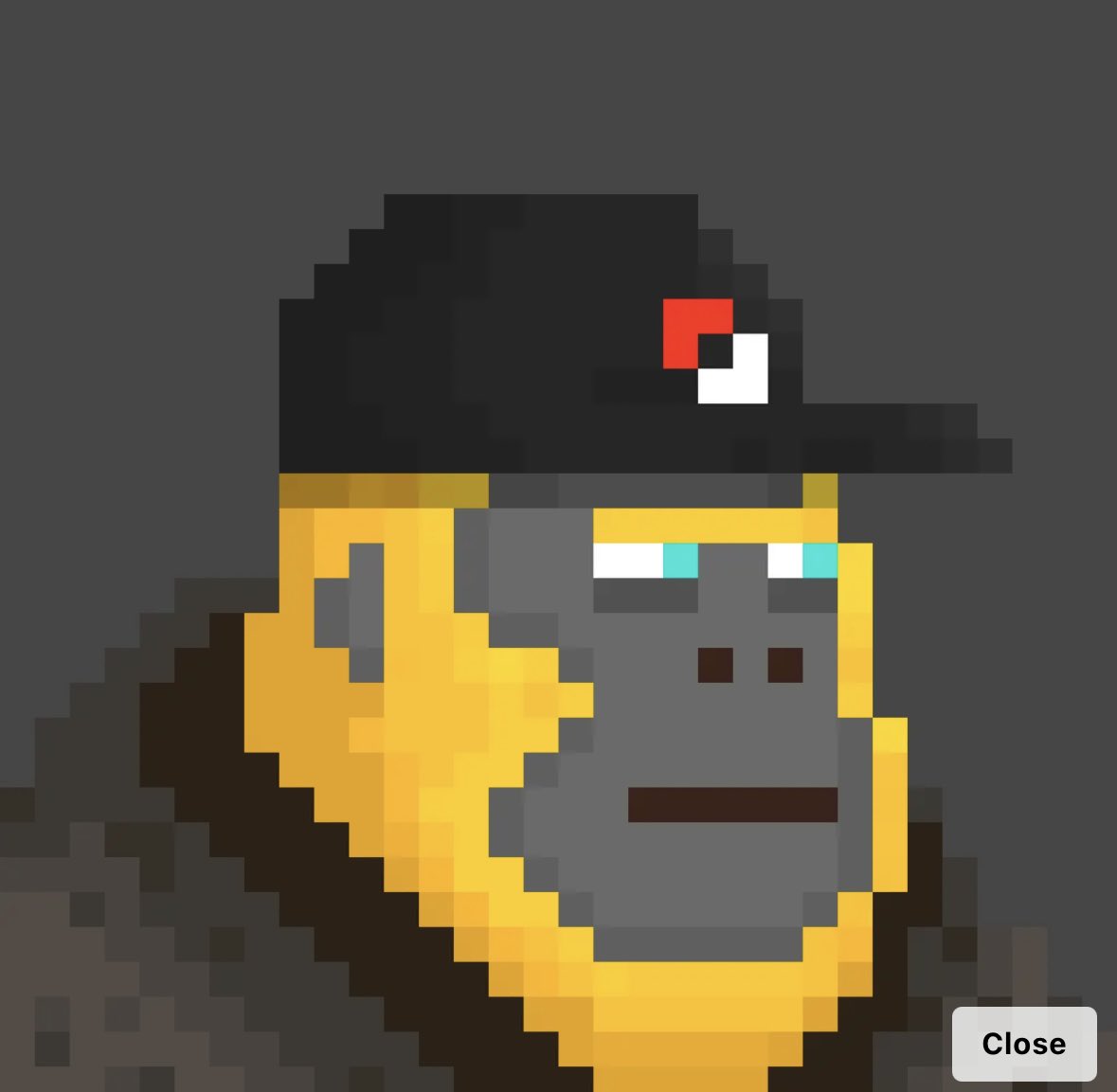 HzAmnesia's tweet photo. @KongzXRPL @xrpcafe @MEMETARD_XRP 🔥 https://t.co/Ei5HSW9QTy