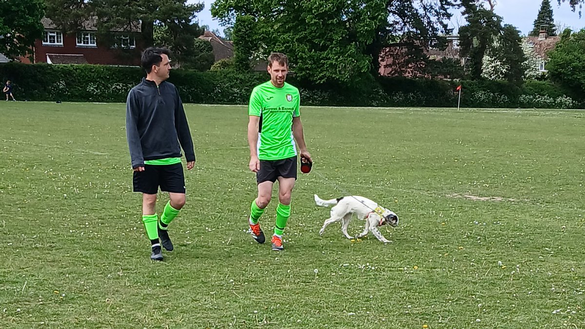 "Go and warm up. Take the dog with you for a run"