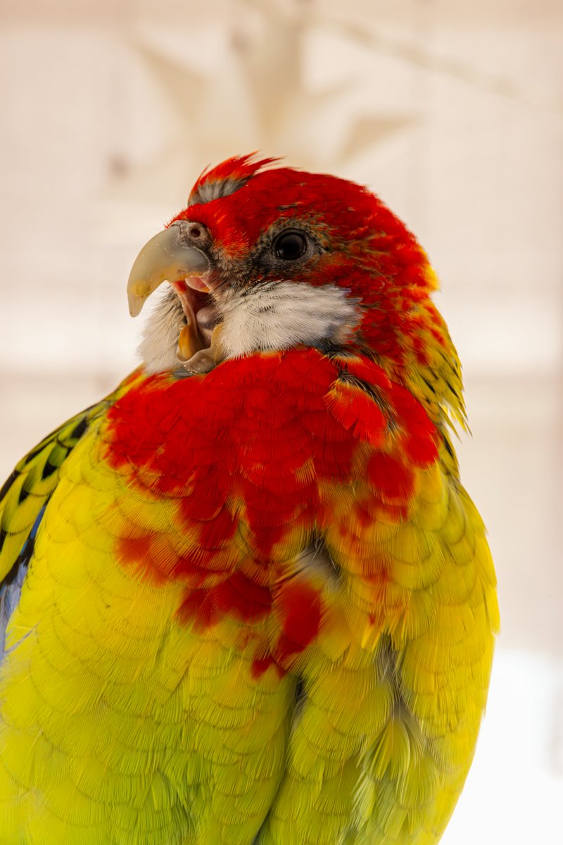 AAAAAAAAAAAAAAAAAAAAAAAAAAAAAAAAAAAAAAAAAAAAAAAAAAAAAAAAAAAAAAAAAAAAAAAAAAAAAAAAAAAAAAAAAAAAAAAAAAAAAAAAAAAAAAAAAAAAAAAAAAAAAAAAAAAAAAAAAAAAAAAA