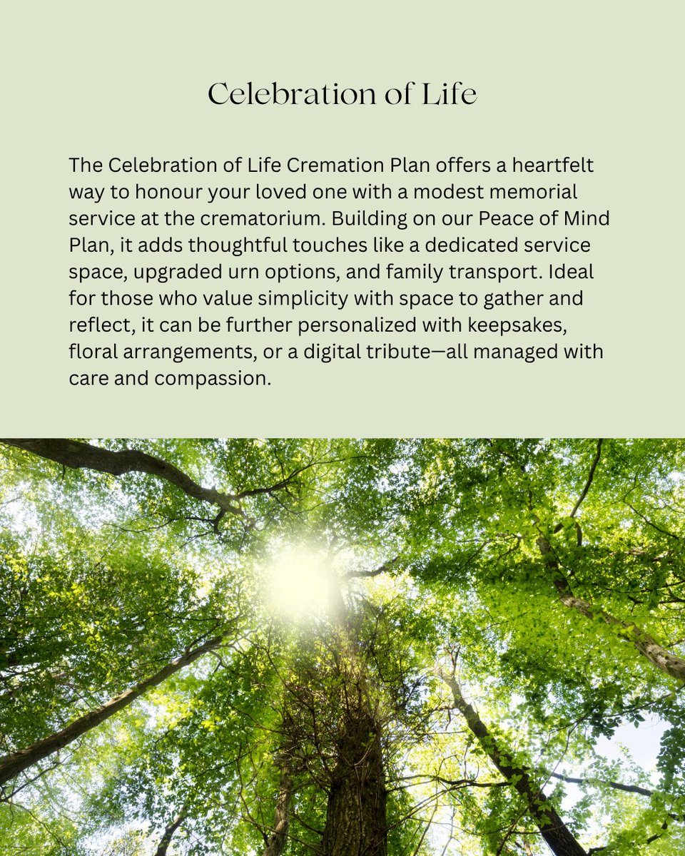 EternalC58672's tweet image. Give yourself and your loved ones peace of mind. Our prepaid cremation plans honor life, legacy, and eternal reflection. Learn more: eternallightcremations.com
#PeaceOfMind #CelebrateLife #EternalReflection #PrepaidPlans #EternalLightCremations