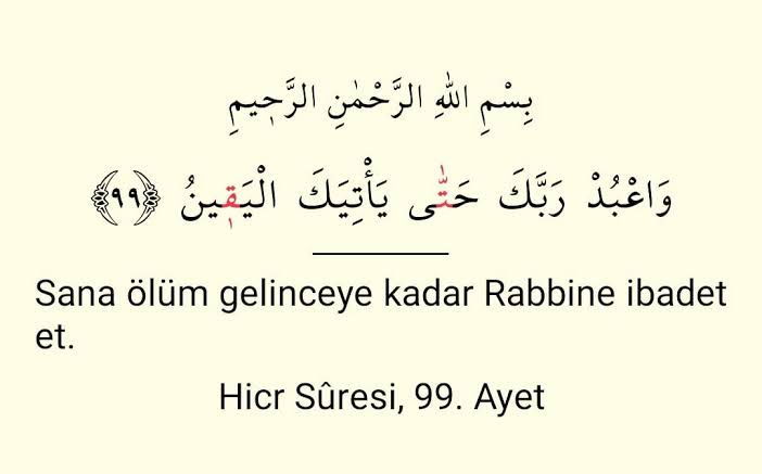 LayyLayyLom tweet media