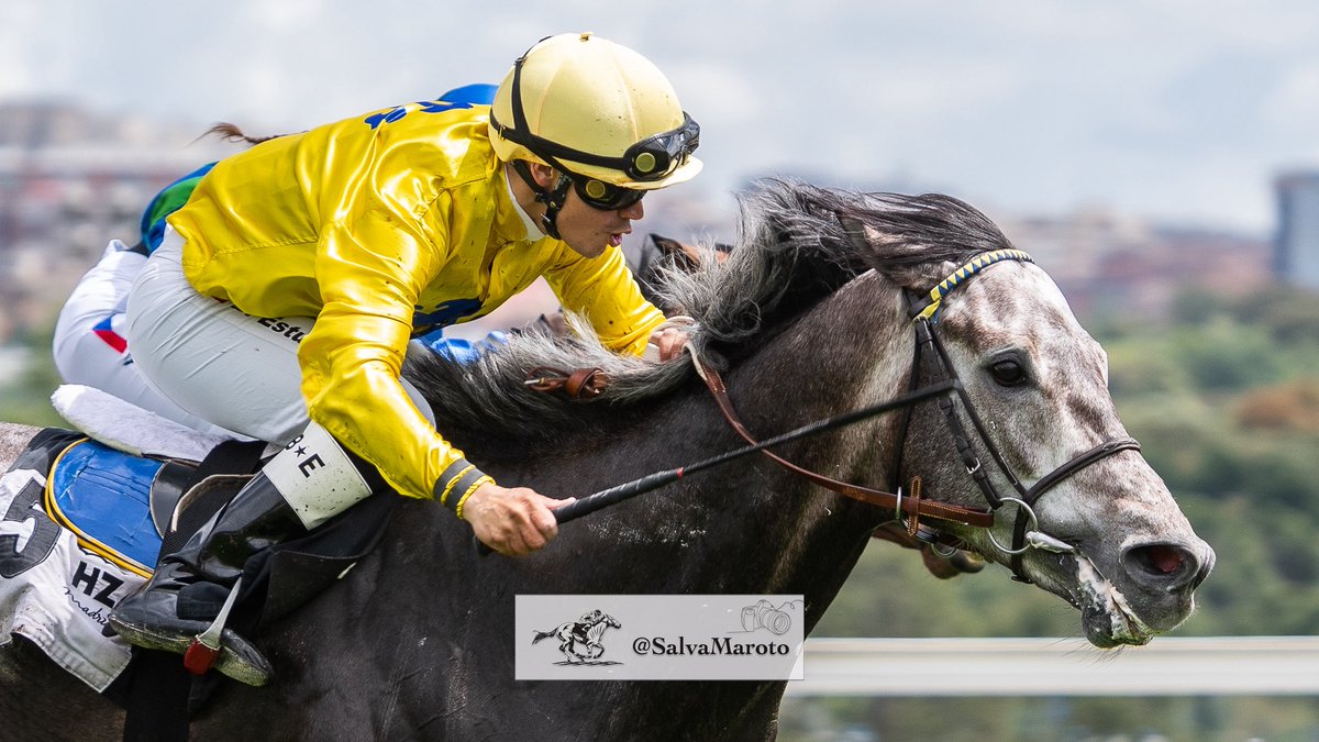 SalvaMaroto3's tweet photo. - Premio Gran Hipódromo de Andalucía -

🐴 Irish Breath ➡️ Make Believe y Whistling 
🏇🏻  @EstupinanBrenys 
. Preparación: @Killoturf 
. Cuadra: Balcon de Telde. https://t.co/1KO42IUfET