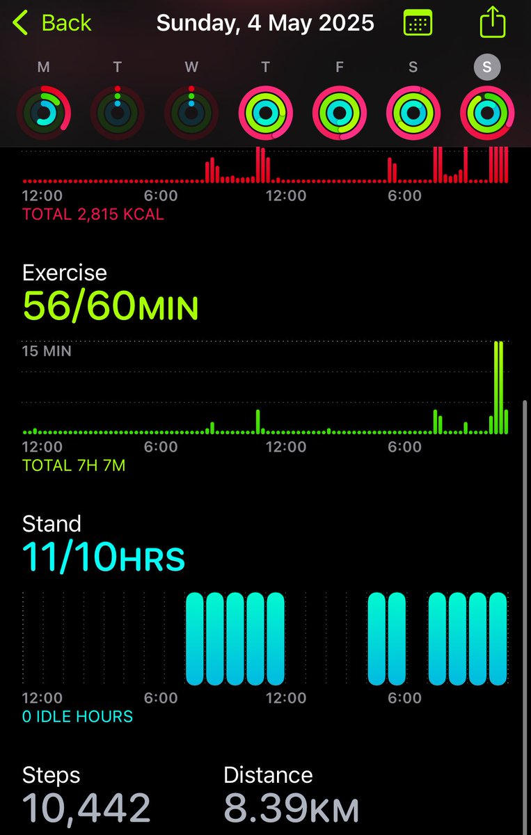 Day 4 (rest day)