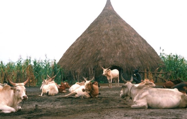 Baakouu's tweet image. Architecture au Sud Soudan