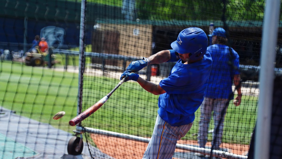 #BackThePack tweet media