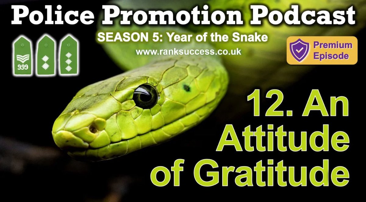 This BH W/end using saver code 
 👉 BH25 👈 gets you 25% off my rank -specific toolkits. 

Jo - "I’m over the moon to have passed my Ch Insp. board having used your digital toolkit &amp; masterclass video. My 2nd attempt at this rank 1st time, the feedback was my nerves affected my
