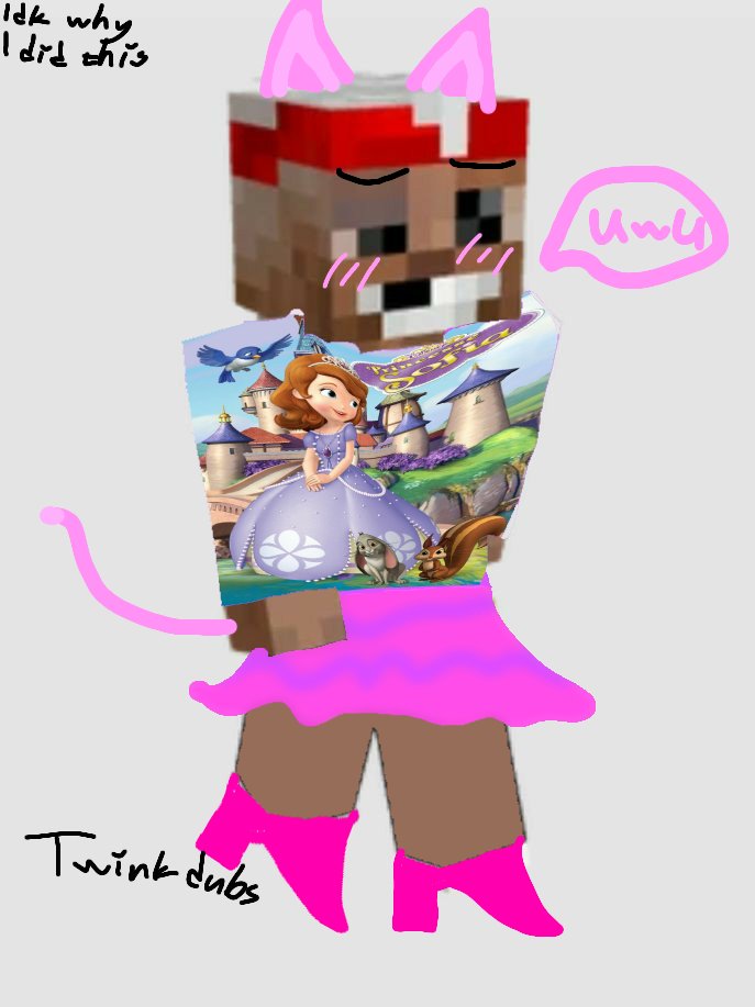 SH0RTGR4SS's tweet image. Cino&apos;s weird ass designs thread🧵
E-Kitten Bdubs