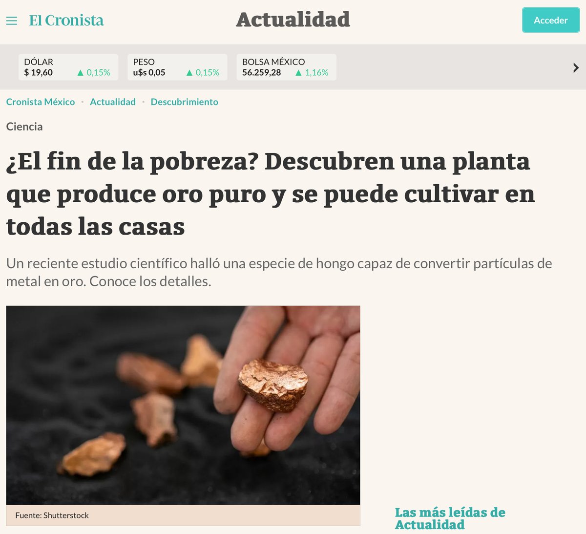 Dragón Oro Plata tweet media