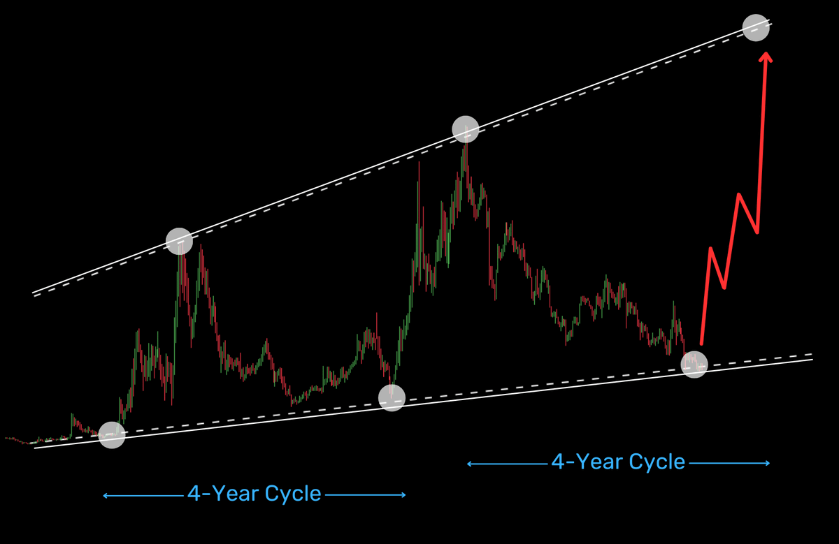 Rekt Fencer tweet media