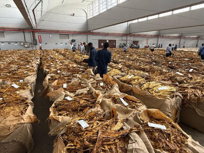 PRICES of the golden leaf at the auction floors have firmed to an average of US$3.85 per kilogramme compared to US$3.43 per kilogramme at contract sales, in a move set to incentivise farmers to grow more tobacco.