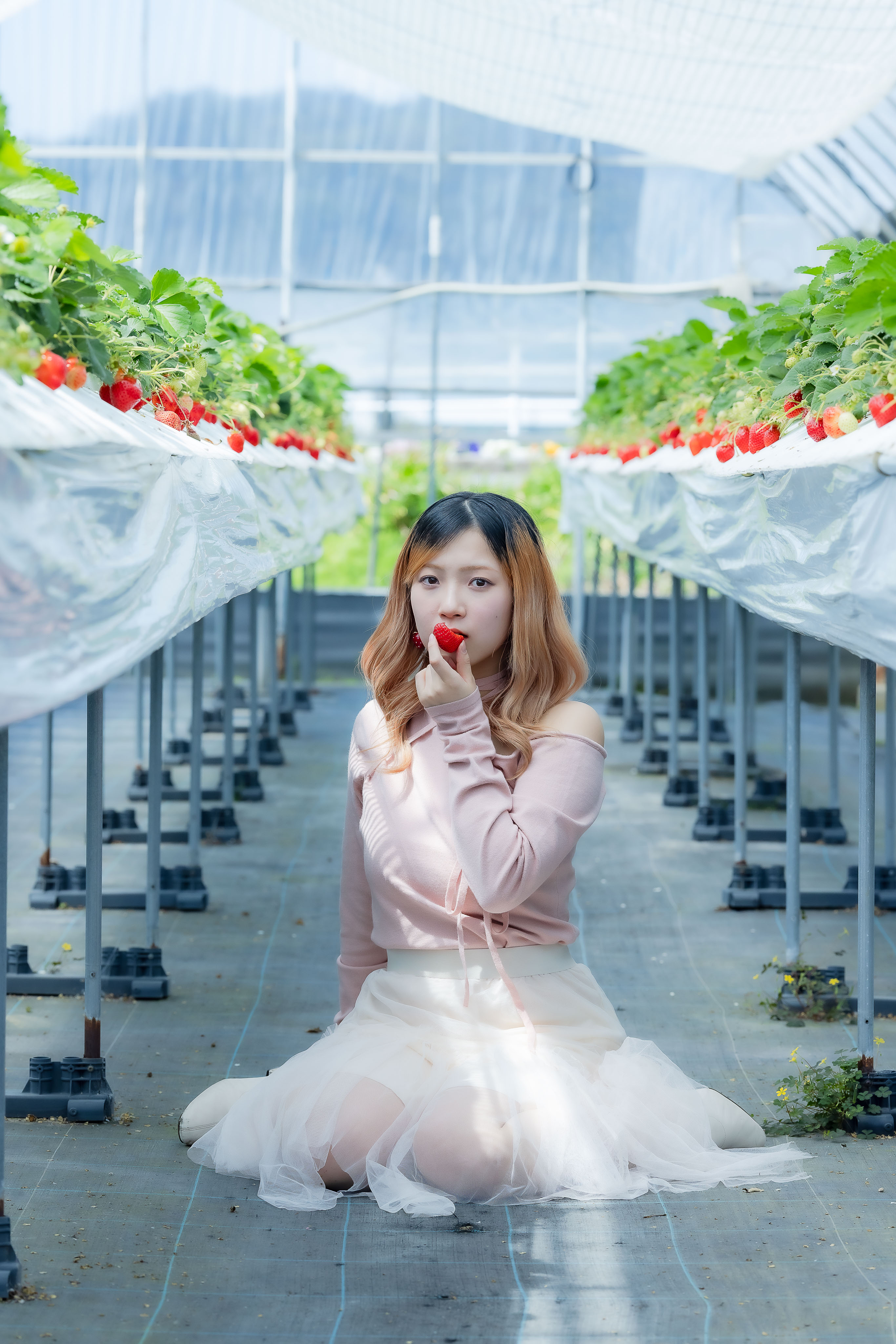 苺花🍓 (@ichika827ichika) / X