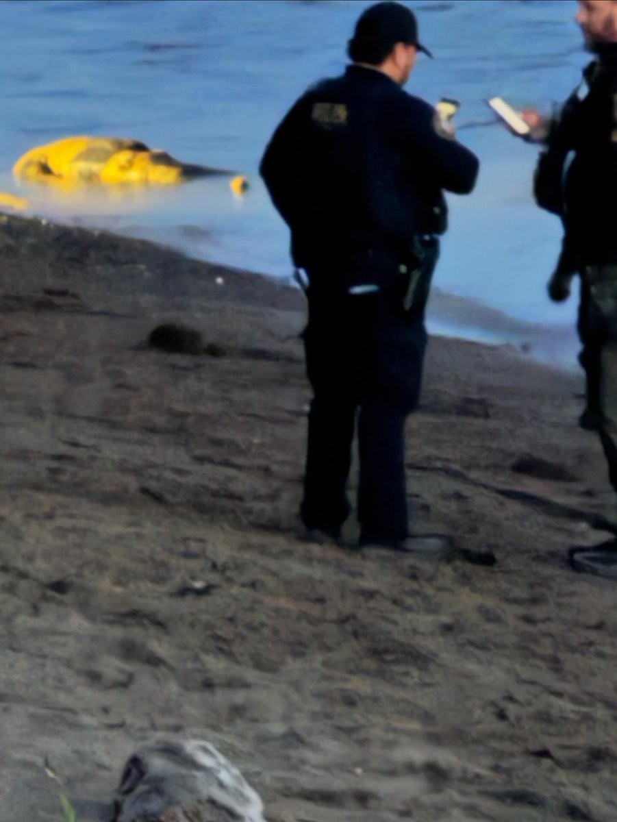 7th body found in 3 weeks in the Willamette River