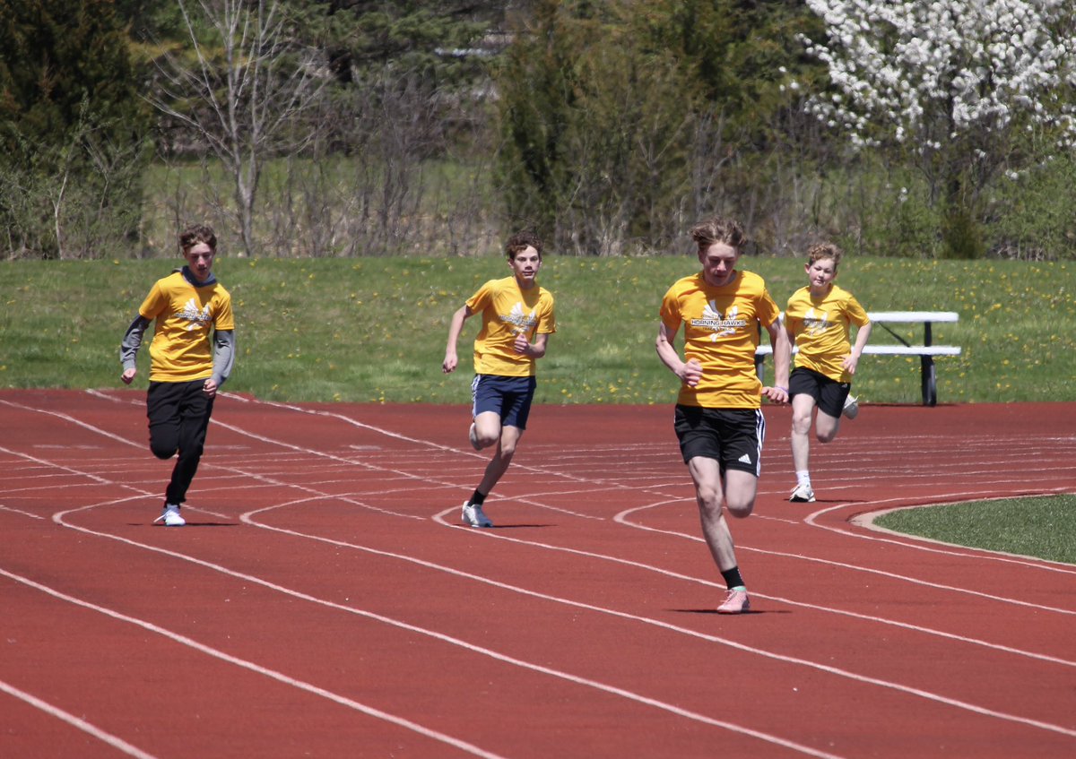 Horning Hawks CC and TF tweet media