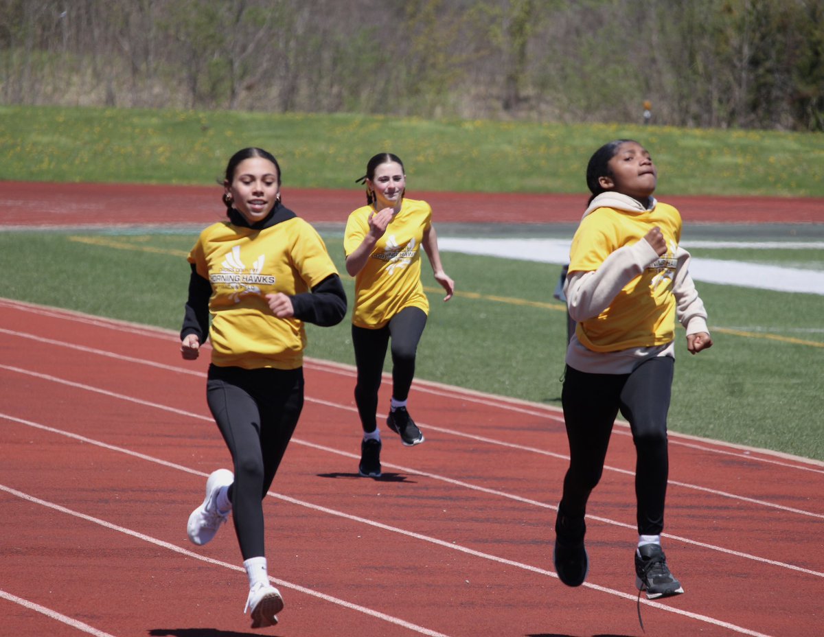 Horning Hawks CC and TF tweet media