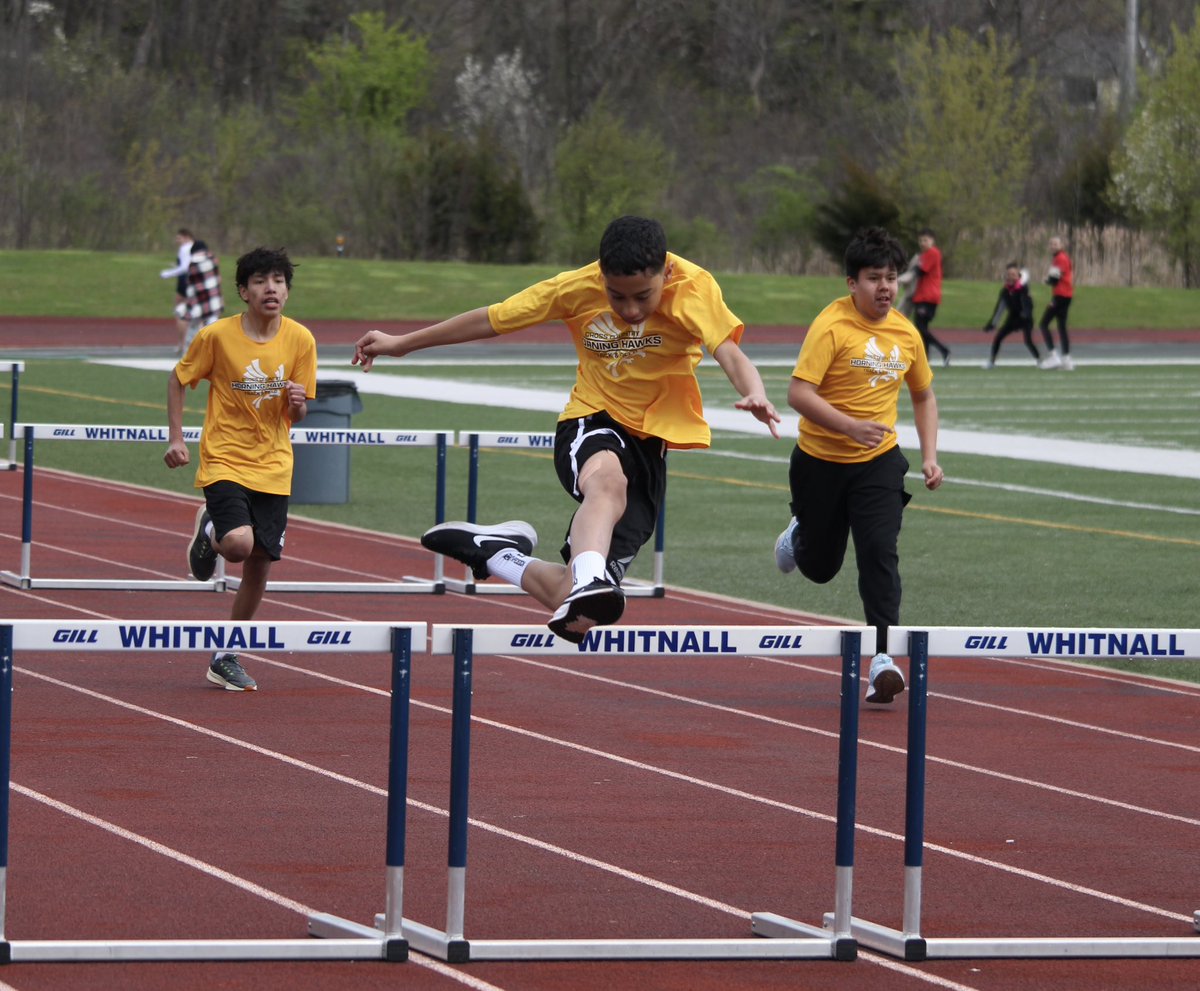 Horning Hawks CC and TF tweet media