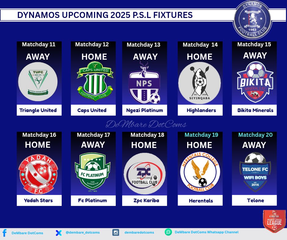 DeMbare DotComs tweet media