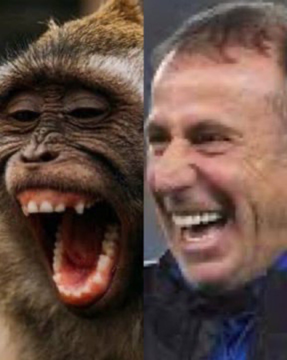 Koçbahçeyi rezil ederse biz