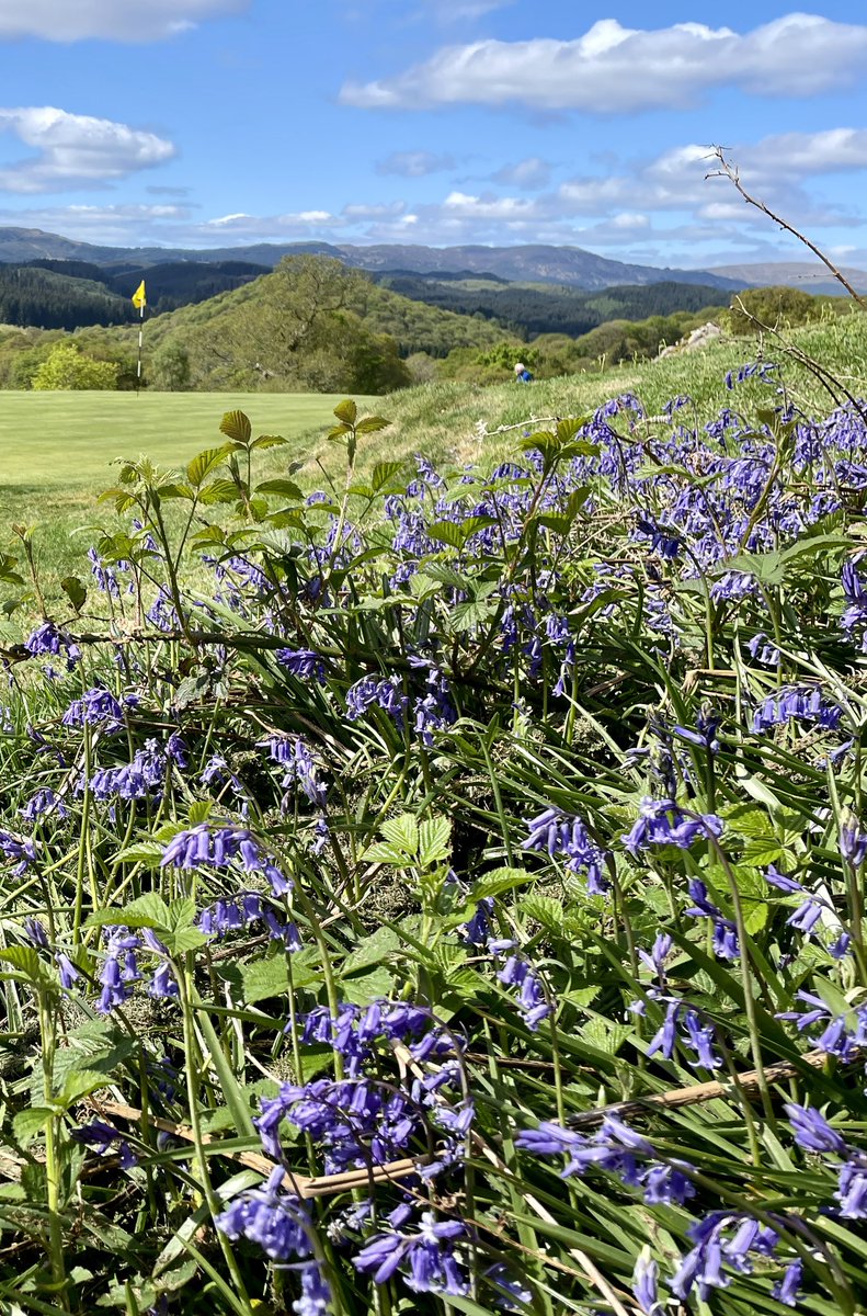 William Paterson (@wypaterson) on Twitter photo If you want to find out a wee bit more about <a href="/AberfoyleGC/">Aberfoyle Golf Club</a> then read Not All Those Who Wander Are Lost by <a href="/JimHHartsell/">Jim Hartsell</a> in edition 11 of <a href="/thelinksdiary/">The Links Diary</a> - it’s sure to capture your imagination and hopefully fuel your desire to wander our way. If you want to find out a wee bit more about <a href="/AberfoyleGC/">Aberfoyle Golf Club</a> then read Not All Those Who Wander Are Lost by <a href="/JimHHartsell/">Jim Hartsell</a> in edition 11 of <a href="/thelinksdiary/">The Links Diary</a> - it’s sure to capture your imagination and hopefully fuel your desire to wander our way.