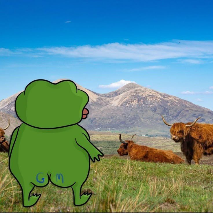 Lets make the most popular GM tweet ever

Say GM here and everyone will say it back

I will start

GM 🌞