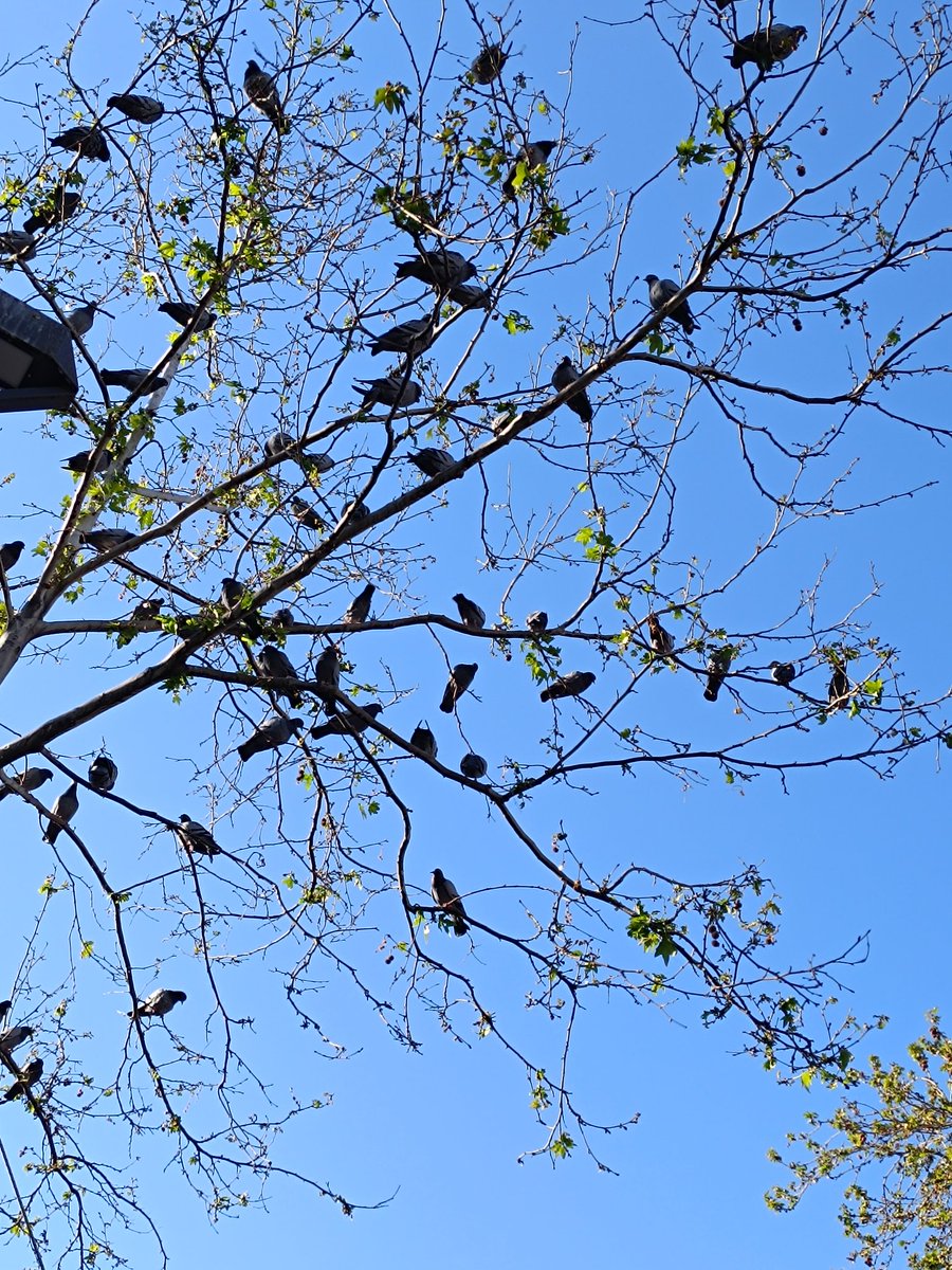 youtu.be/MPFeh7vv7So?si…