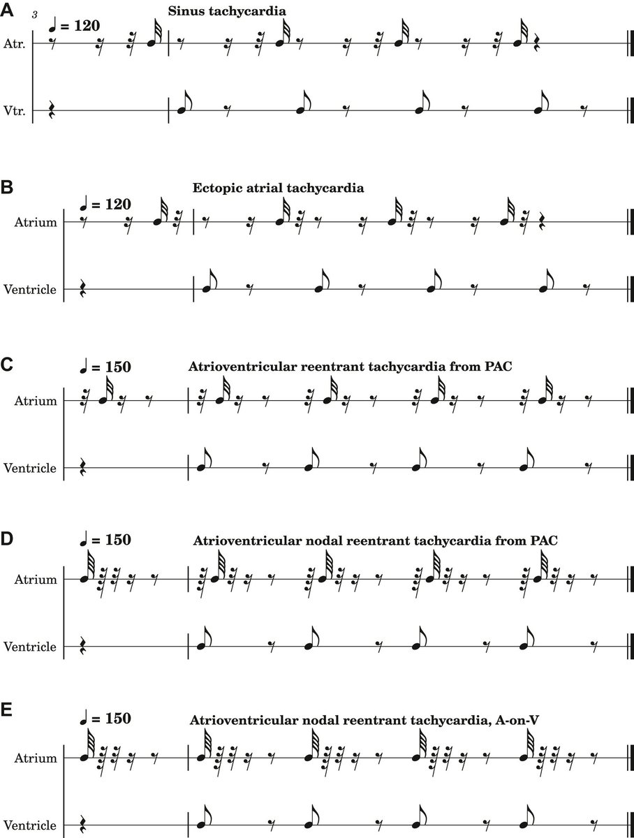 The Heart tweet media