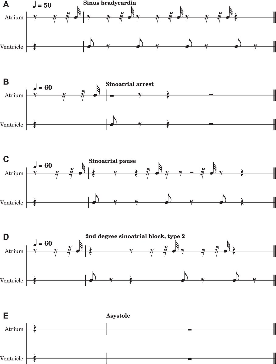 The Heart tweet media
