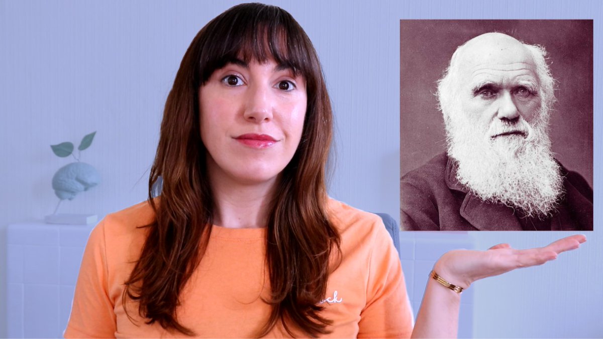 📢[NUEVO 🎥]: Evolución y cerebro en el siglo XIX. 
youtu.be/1w64zbpHb04?si…