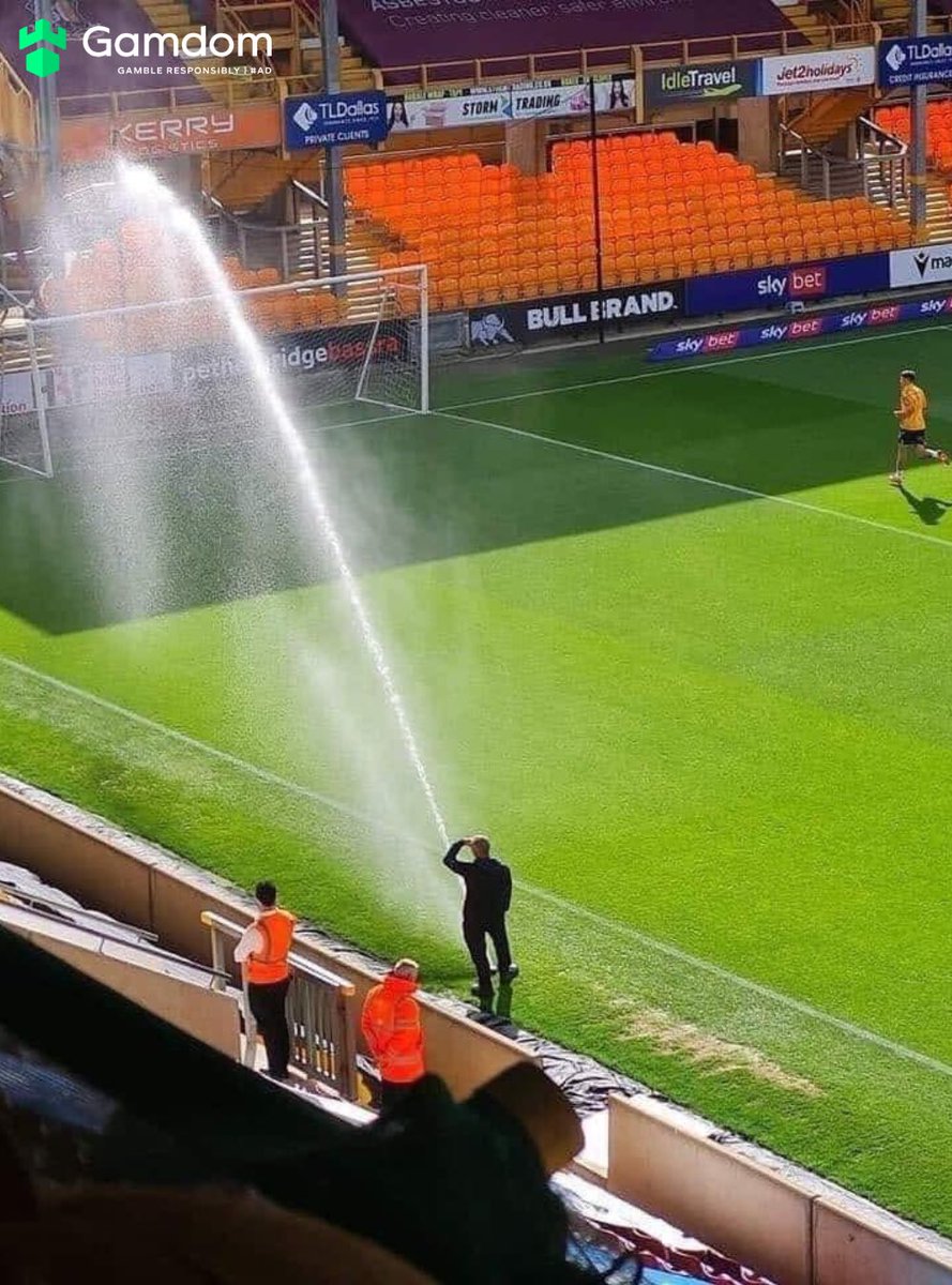 Football Away Days tweet media