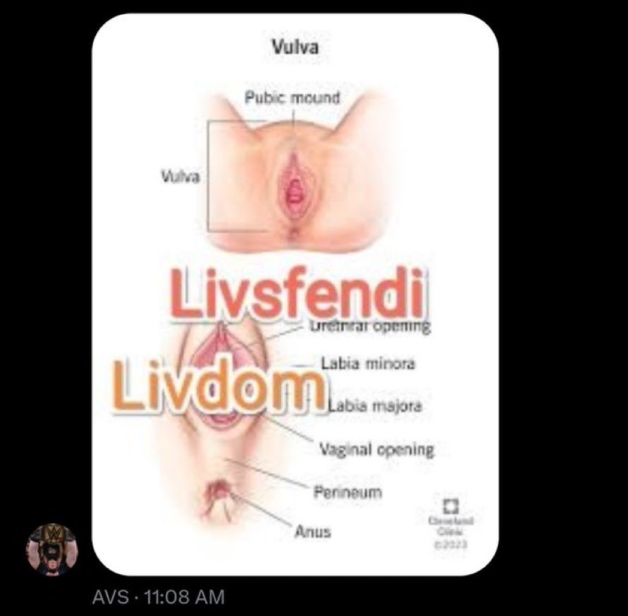 livdom_______'s tweet photo. please report @/ Aditya_WWE26, he and his friends are raiding gcs and being racist, homophobic and weird. 

Proofs: https://t.co/wLXWKZ76vg