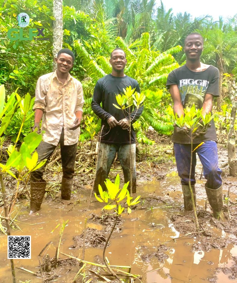 BRC_NG's tweet image. Investing in wetlands is investing in our future.
@BRC_NG  is nurturing the recovery of Calabar coastline, where we&apos;ve already planted 3,000 mangrove seedlings. This year, our commitment deepens as we plant more, envisioning a thriving, resilient coast. #MangroveRestoration #BRC