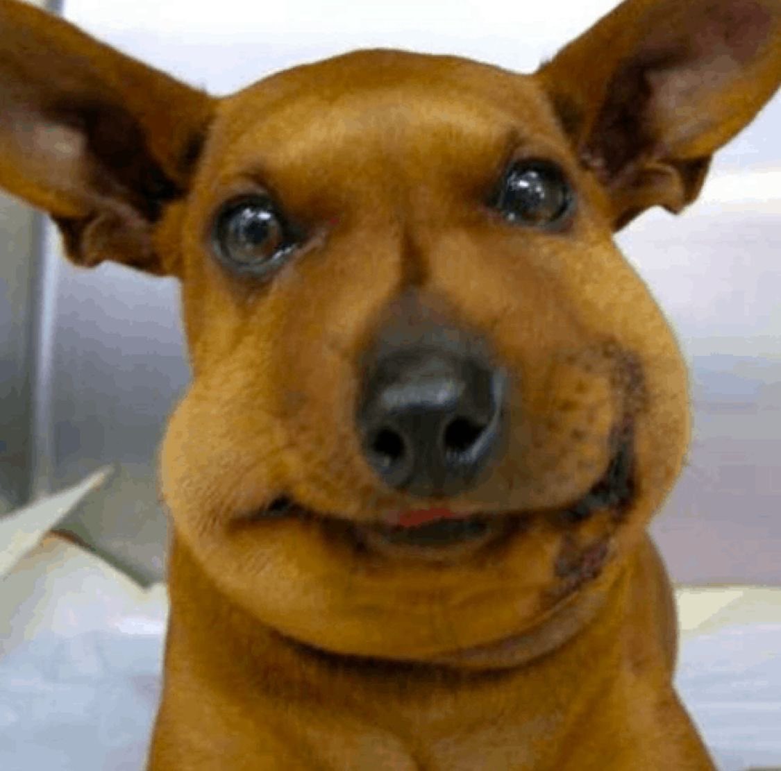 real picture of me day 4 after my wisdom tooth removal + getting tonsillitis at the same time