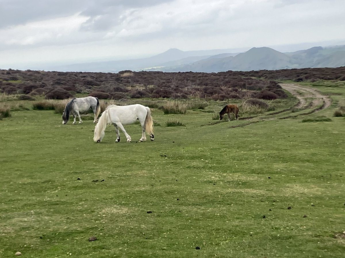 End of day 2. All finished for today :)