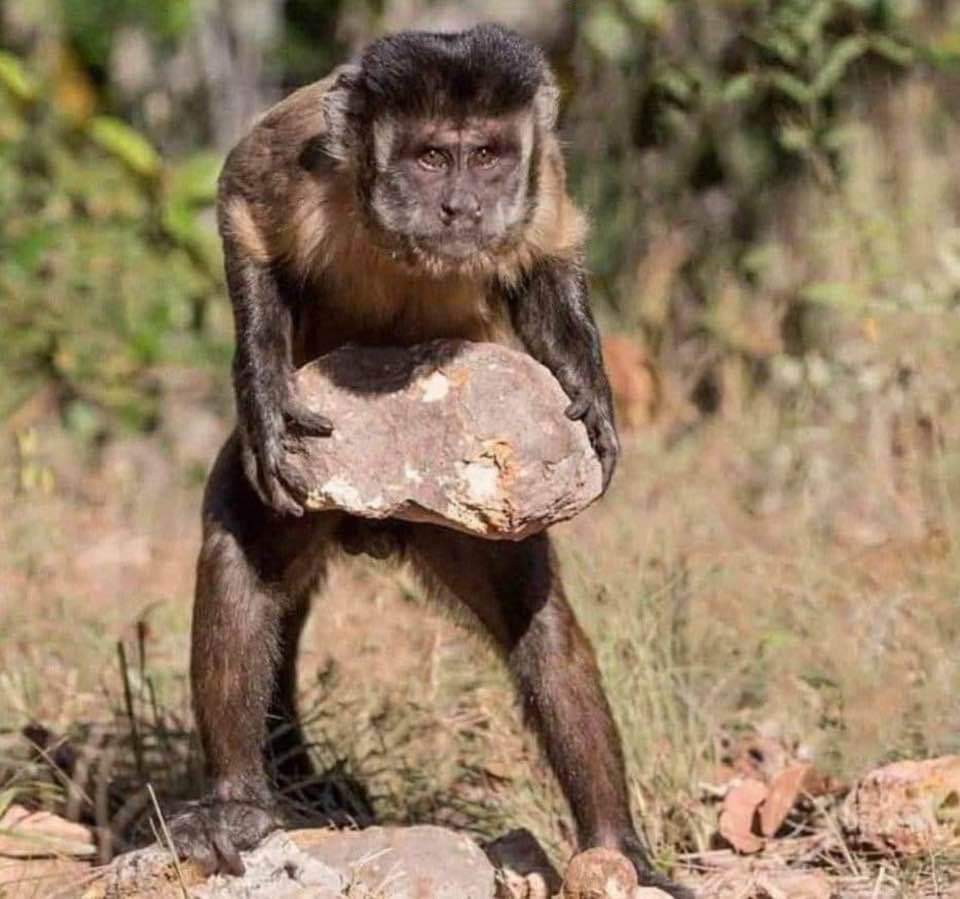 Micarlo_LM's tweet photo. @MojaLoveTv and #nimrodnkosi just wasted our time with this episode and reaffirmed that moja love is far from condemning the actions of Siyacela, by failing to ask the instrusive questions that ought to bring to the fore that any form of abuse is not condoned. #isencaneLengane https://t.co/ISCC2cxa65