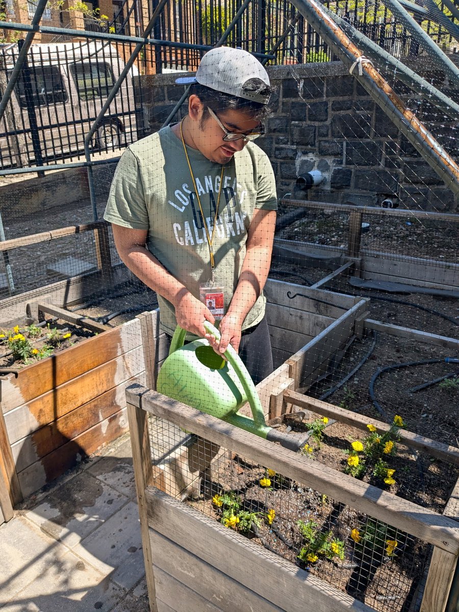 Francesca Amato (@famato53) on Twitter photo For #earthday2025, #marigolds (not walnut trees) were planted in the AIM Garden <a href="/kpintoledo/">🌸Dr. Katie Peters 🌸</a> <a href="/WeehawkenTSD/">Weehawken Schools</a> <a href="/RobFerullo4/">Robert Ferullo</a> <a href="/bcalligy/">Brian Calligy</a> <a href="/StefanieCirill1/">Stefanie Cirillo</a> For #earthday2025, #marigolds (not walnut trees) were planted in the AIM Garden <a href="/kpintoledo/">🌸Dr. Katie Peters 🌸</a> <a href="/WeehawkenTSD/">Weehawken Schools</a> <a href="/RobFerullo4/">Robert Ferullo</a> <a href="/bcalligy/">Brian Calligy</a> <a href="/StefanieCirill1/">Stefanie Cirillo</a>