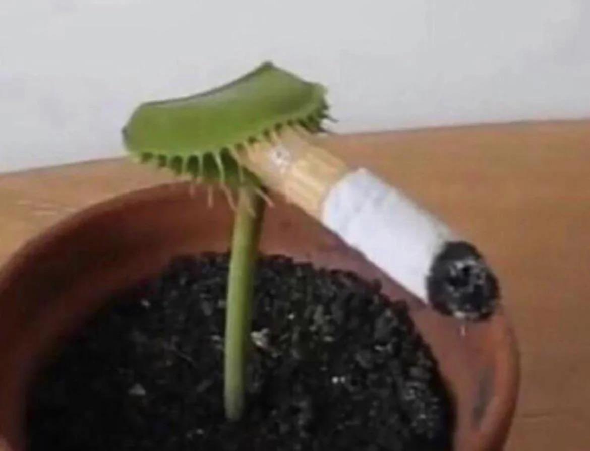 Seymour? Haven’t heard that name in years