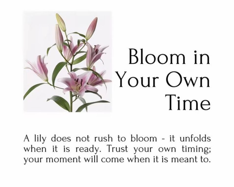 gal౨ৎ (@prtygal777) on Twitter photo 