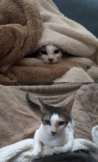 Today my Little Bean Sprout turns 6!! 🌱

Happy Birthday to Her Highness Princess Athena Azula Bambina Fettuccina Alfreeda!