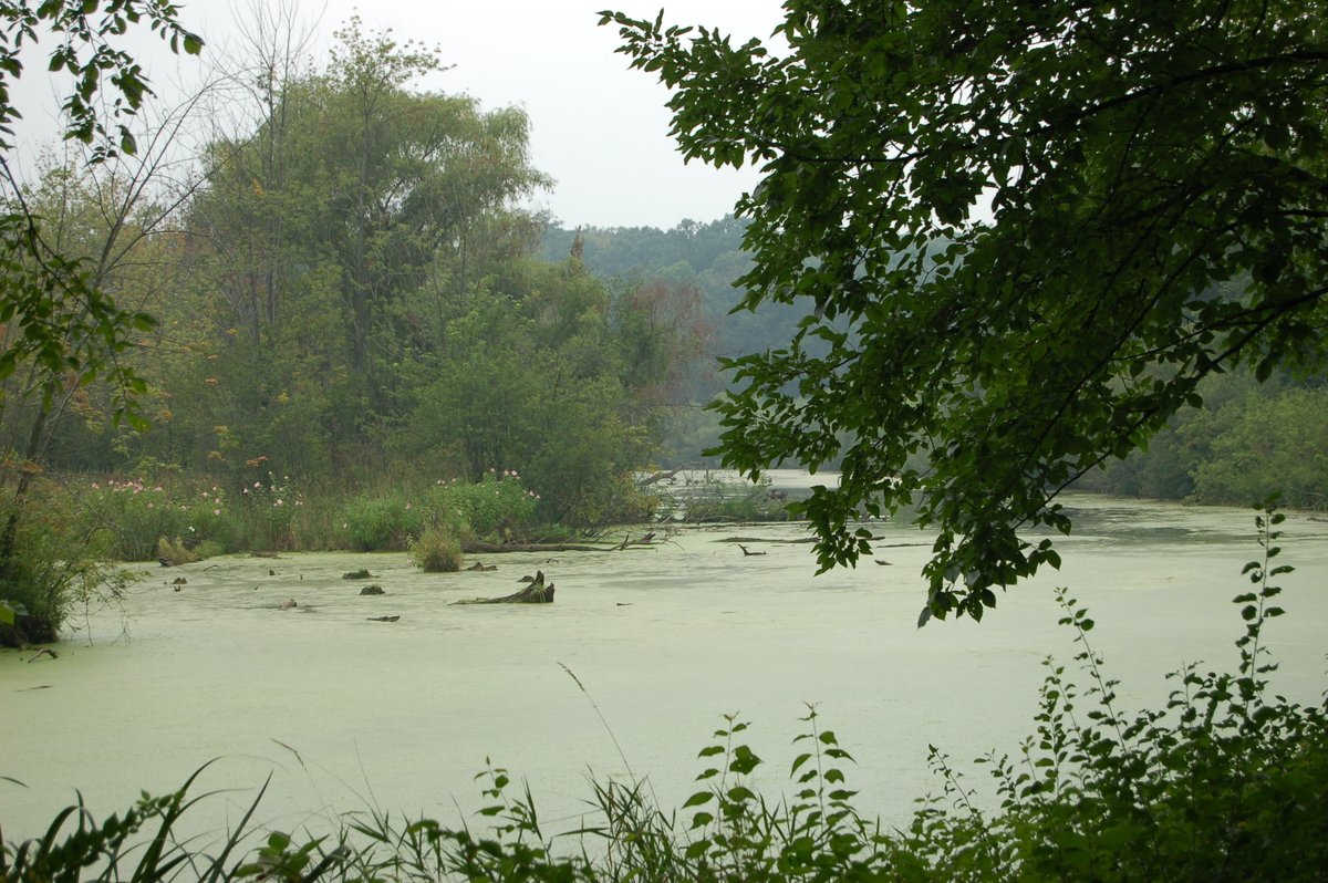 Forest Preserves (@fpdcc) on Twitter photo Stay in the loop with <a href="/FPDCC/">Forest Preserves</a>! 🌳
Sign up for our monthly *Forest Way* newsletter for news, events & volunteer opps—right to your inbox. 📬
📧 Subscribe now: bit.ly/4coEgWK Stay in the loop with <a href="/FPDCC/">Forest Preserves</a>! 🌳
Sign up for our monthly *Forest Way* newsletter for news, events & volunteer opps—right to your inbox. 📬
📧 Subscribe now: bit.ly/4coEgWK