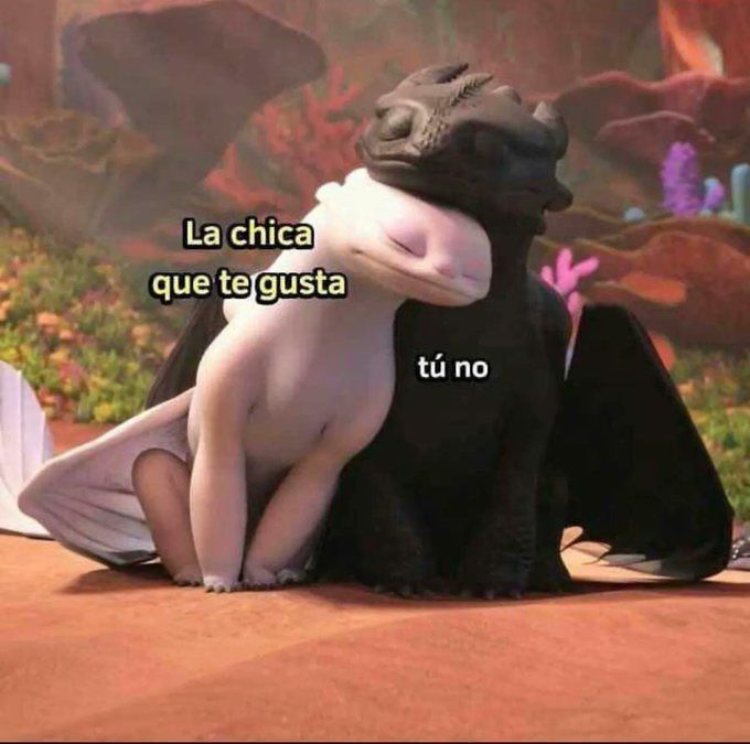 chincheto pirata somali (@wikipistacho) on Twitter photo 