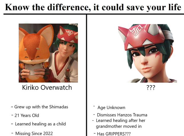 Overwatch Anonymous (@owanonymous_) on Twitter photo 