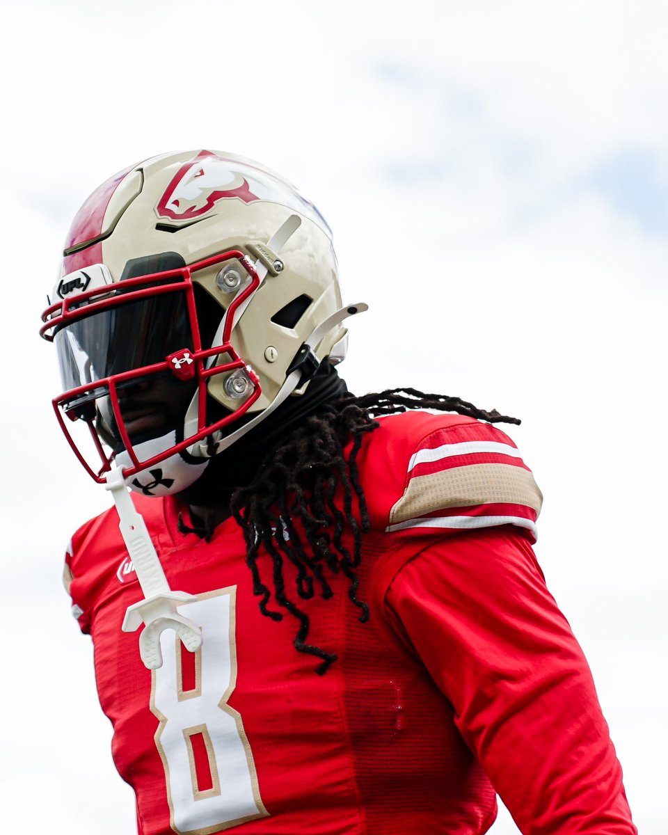 UFLStallions's tweet image. back in bham 🐎