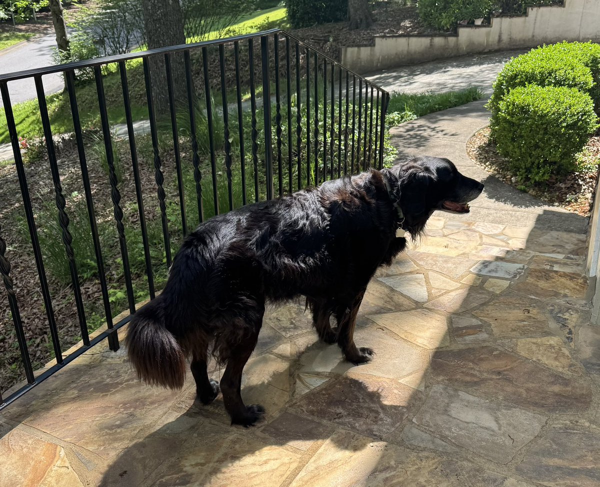 Dr. Jean Martin-Williams tweet media