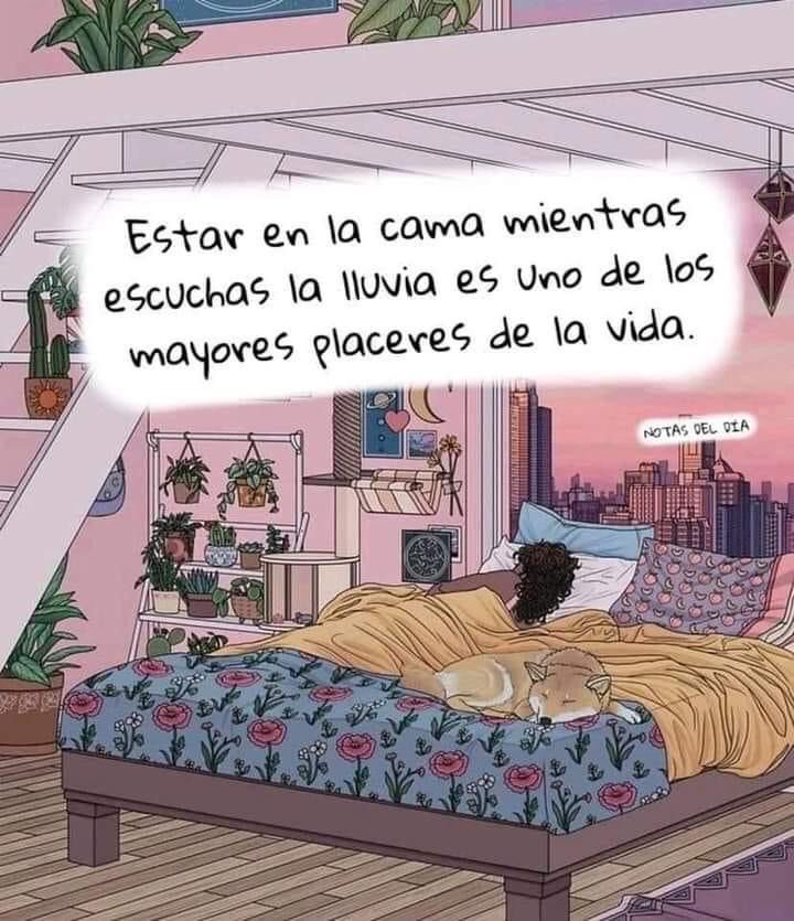 Dilo con dibujos (@dilocondibujos_) on Twitter photo 