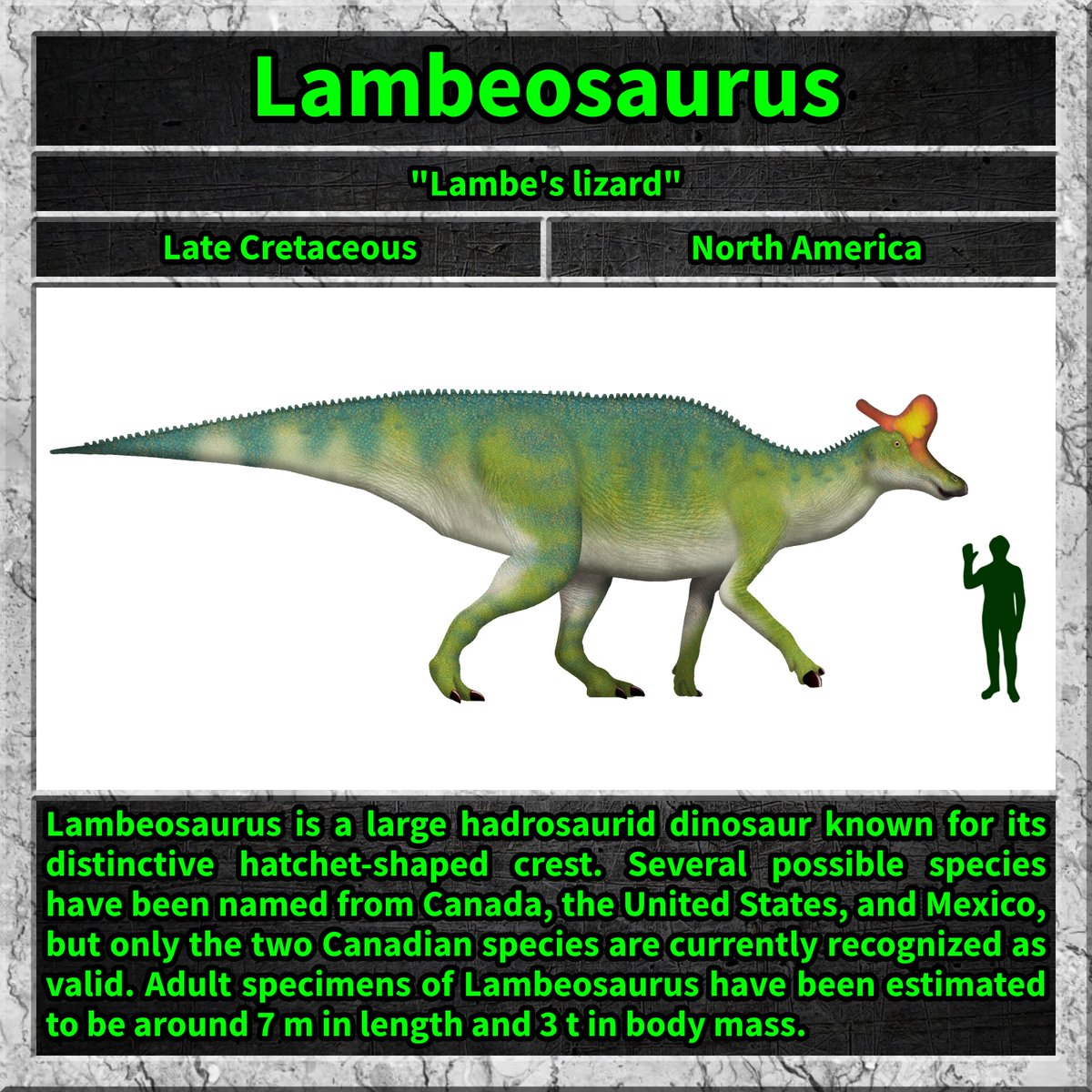 #lambeosaurus #dino #dinosaur #dinosaurs #cretaceous