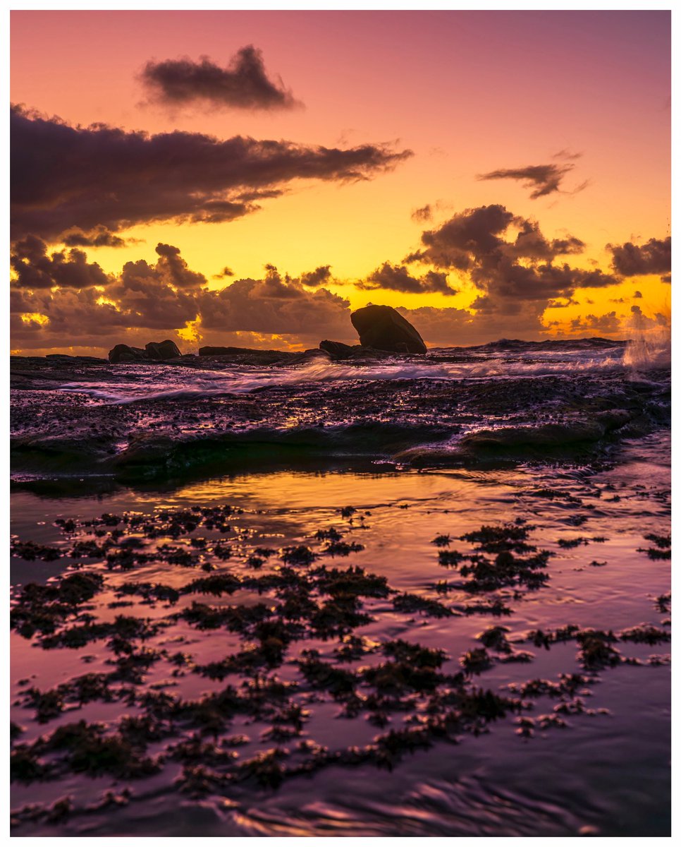 34_mediaOZ's tweet image. Bursting with colour on this morning.

#polarprointhewild #kuhlmountainculture #3leggedthing #canon #landscapephotographer #sunrise #sunshinecoast