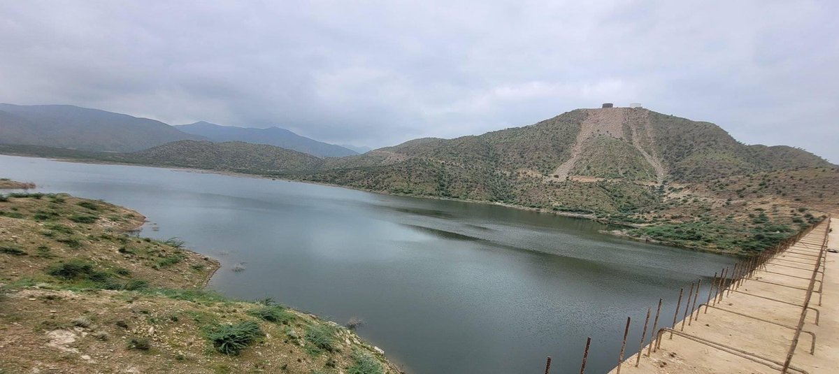 I Have a Dream – To Make Eritrea Flow Again

“I have a dream—not of waiting for rain, but of commanding rivers.”

I have a dream… that one day, the waters of Adi Niamin will rise and feed every root from Asmara to Keren. That the mighty Gash shall no longer flood in vain, but