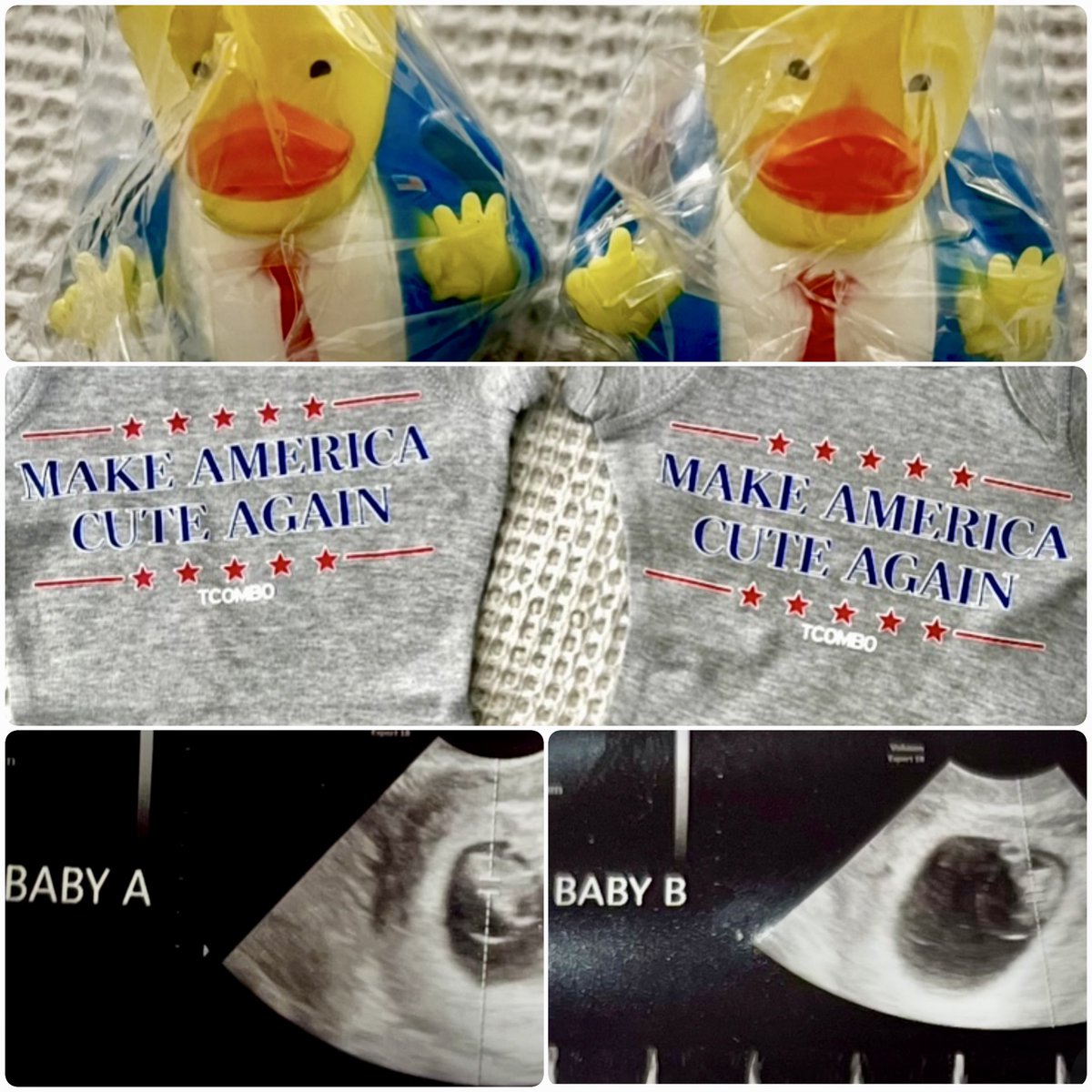 anniemterry's tweet photo. I’m excited to introduce my twin grand-babies to their President! @POTUS #makeamericacuteagain 🙏🩷👶🏻👶🏻🇺🇸 https://t.co/u4WVXWla3w