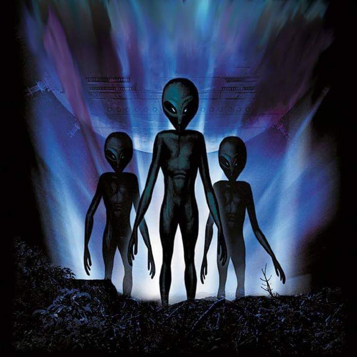 ufob0t's tweet image. 