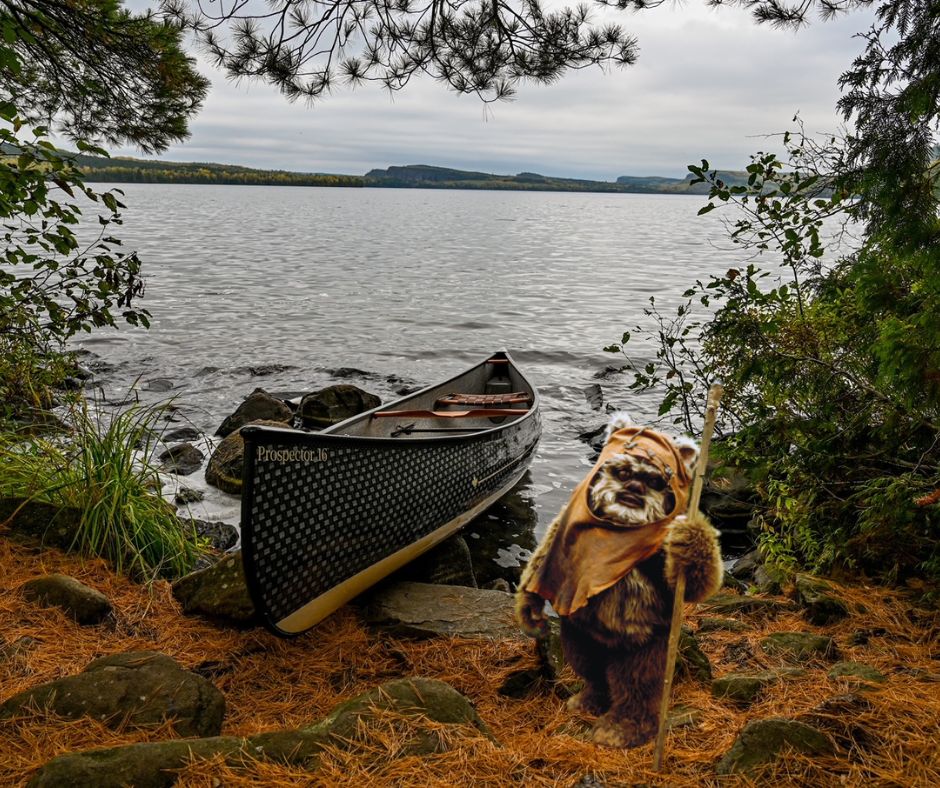 Anyone do any good portaging on the Moon of Endor lately? 

#MayThe4thBeWithYou
