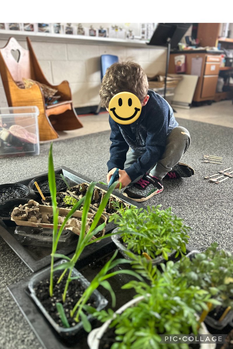 JG Simcoe PS (@jgsimcoe_ldsb) on Twitter photo Thank you <a href="/PlayYGK/">Play! Gaming & Entertainment Centre</a> for helping us purchase plants and garden supplies for some of our classes. Hands-on, experiential learning helps students gain a deeper understanding for curriculum and our Earth. ❤️🙏🌱 Thank you <a href="/PlayYGK/">Play! Gaming & Entertainment Centre</a> for helping us purchase plants and garden supplies for some of our classes. Hands-on, experiential learning helps students gain a deeper understanding for curriculum and our Earth. ❤️🙏🌱